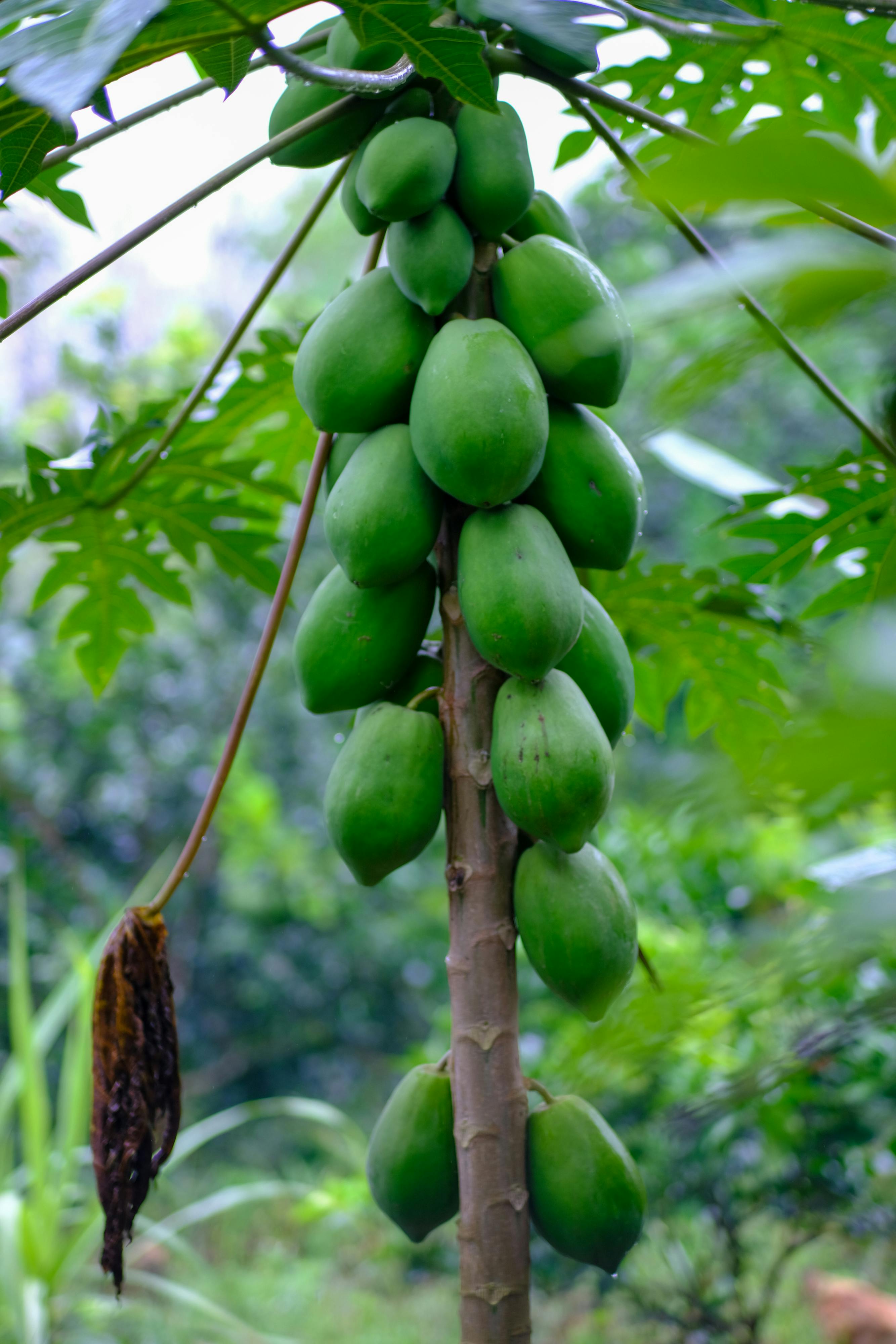 E2 | 1947 – Liên Hợp Quốc và Partition Plan Palestine (Đang hoàn thiện) 937 – viet lach, nghien cuu, nghien cuu lich su, nghien cuu quoc te, do thai, lich su do thai, tu tuong do thai, lich su luu day, do thai hien dai, ky uc do thai, xung dot do thai, ban sac do thai.