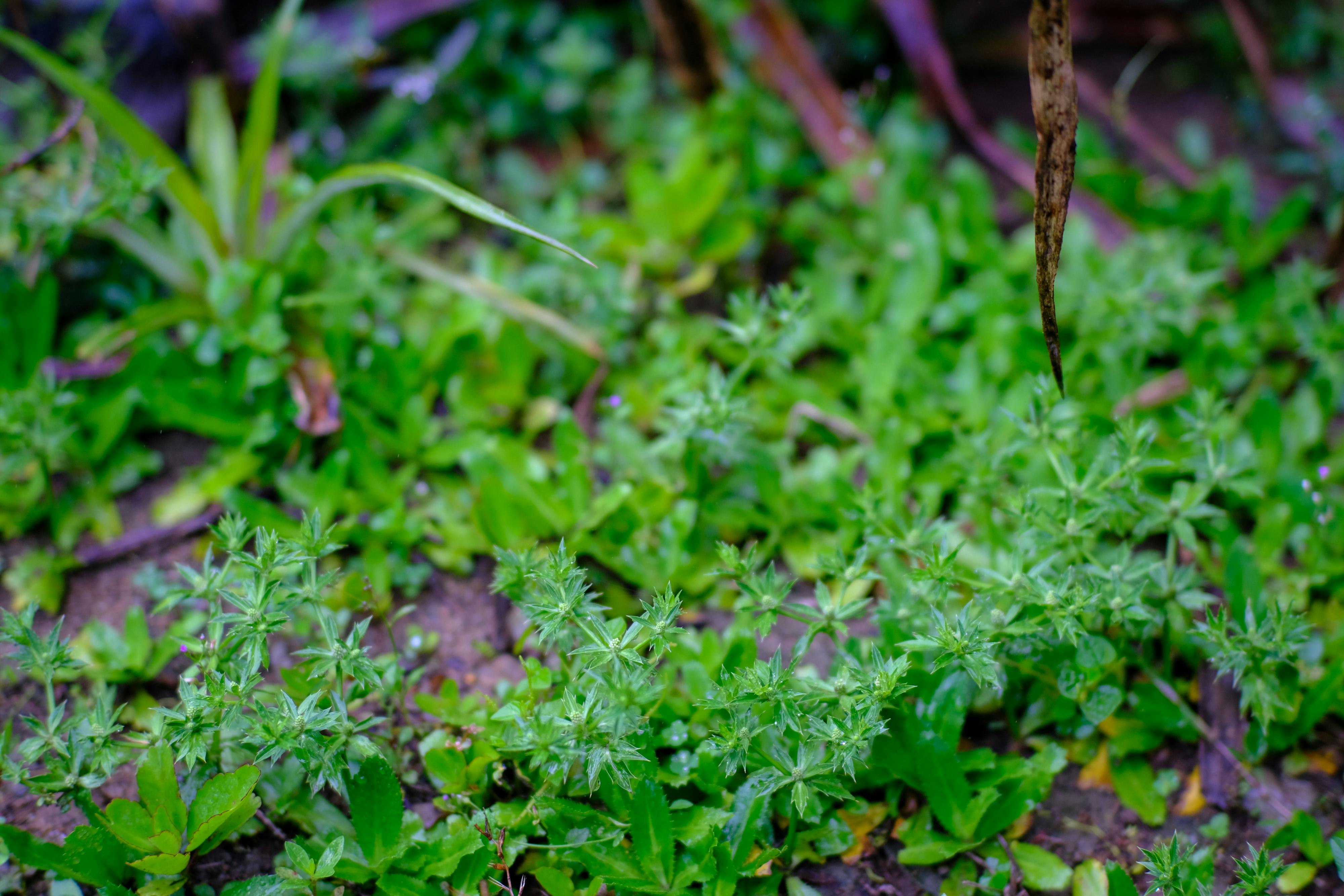 Danh sách theo thẻ manga, trang 2