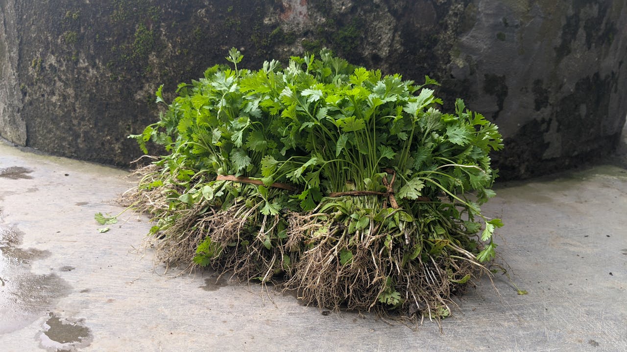 Liệu bạn có thể có một tiếng gọi mà không có ai gọi?