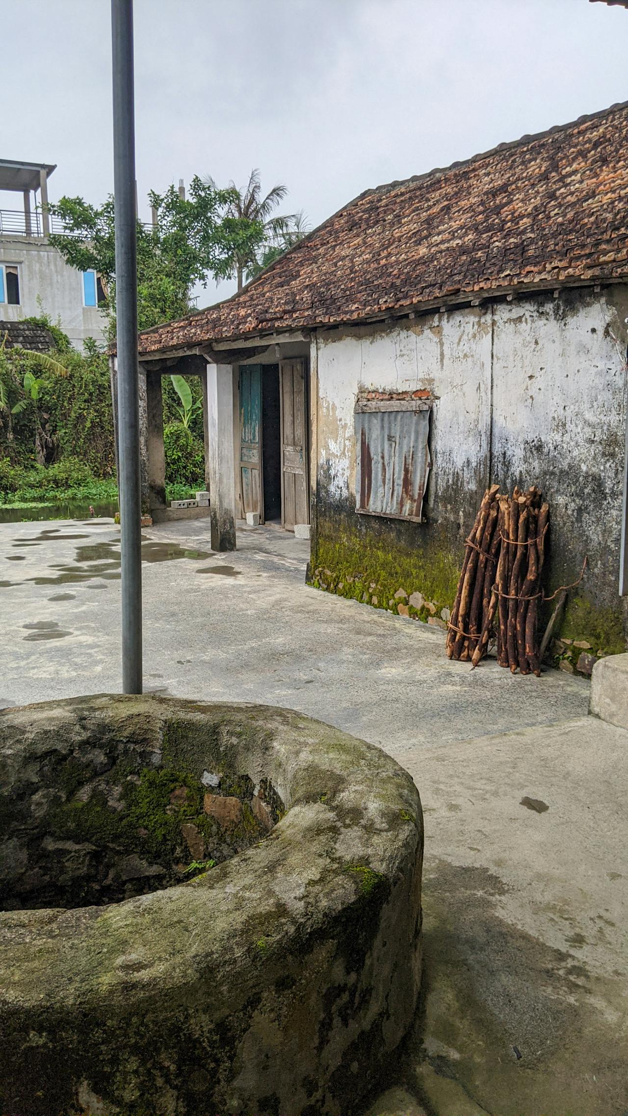 Diễn từ Nobel Văn học 2005 – Nghệ thuật, sự thật và chính trị, Harold Pinter