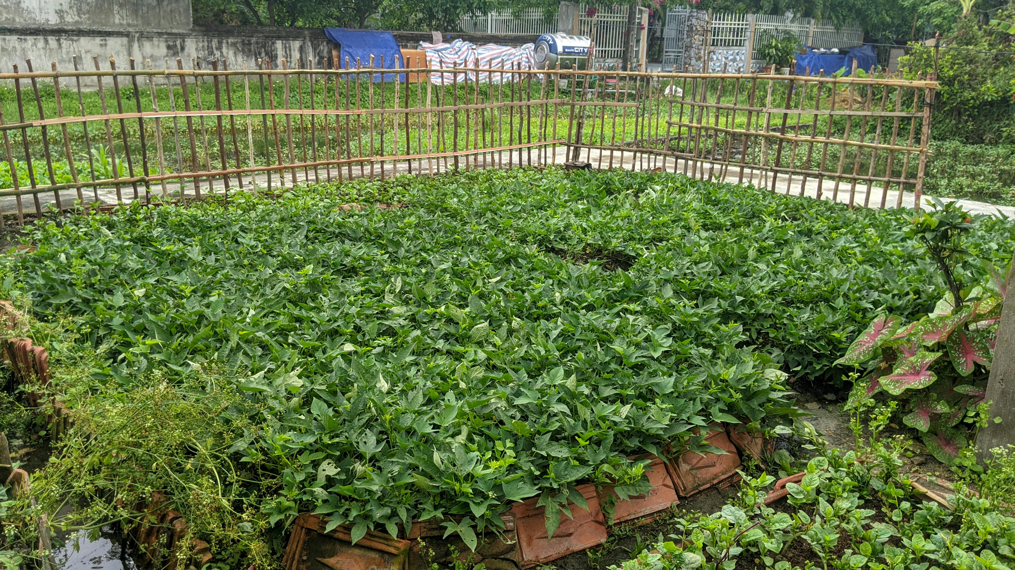 Thám tử lừng danh Conan | Chương 0398 089 – manga, gosho aoyama, case closed, tham tu lung danh conan, conan, detective conan, truyen tranh, trinh tham, pha an, trinh tham, kinh di, truyen conan, doc truyen conan, tham tu lung danh conan chuong 0398, tham tu lung danh conan 0398.