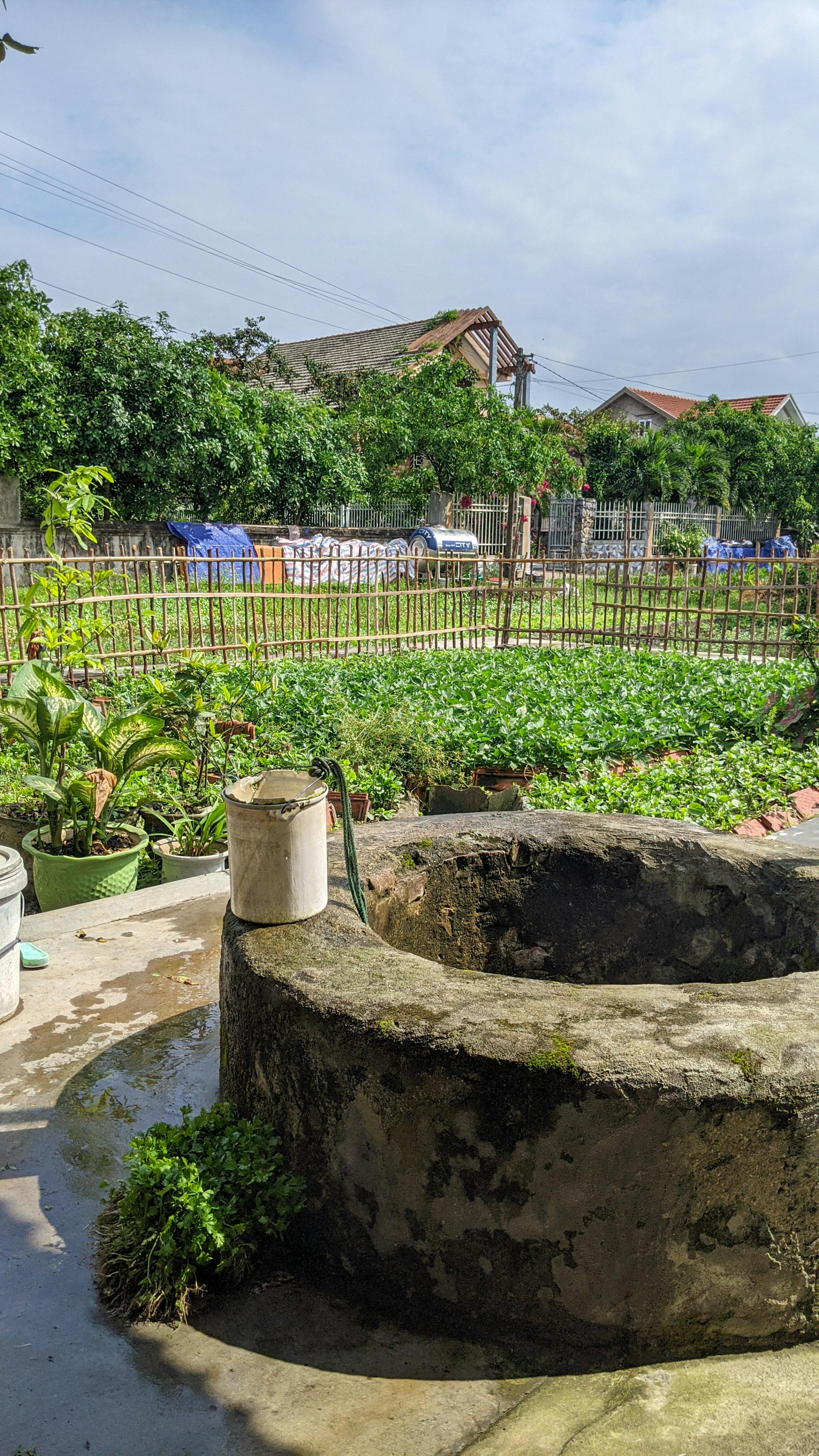 Trung tâm nghiên cứu văn học, phát triển nhà văn Việt Nam