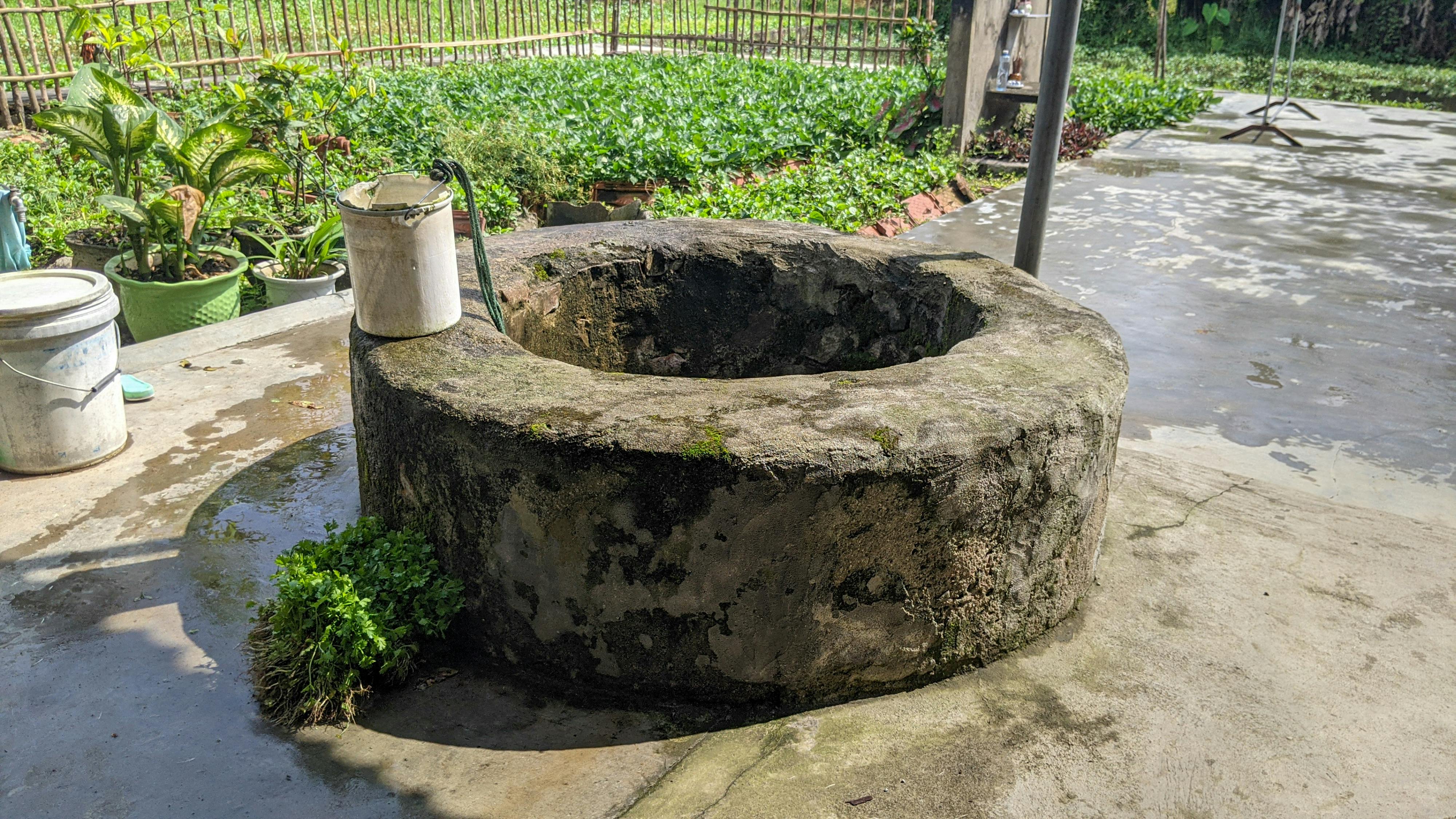 Lưỡng nan Rustin trong liên minh dân chủ 301 – van hoa, lich su, nghien cuu, the tien thoai luong nan, rustin, rustin dilemma, tien thoai luong nan.