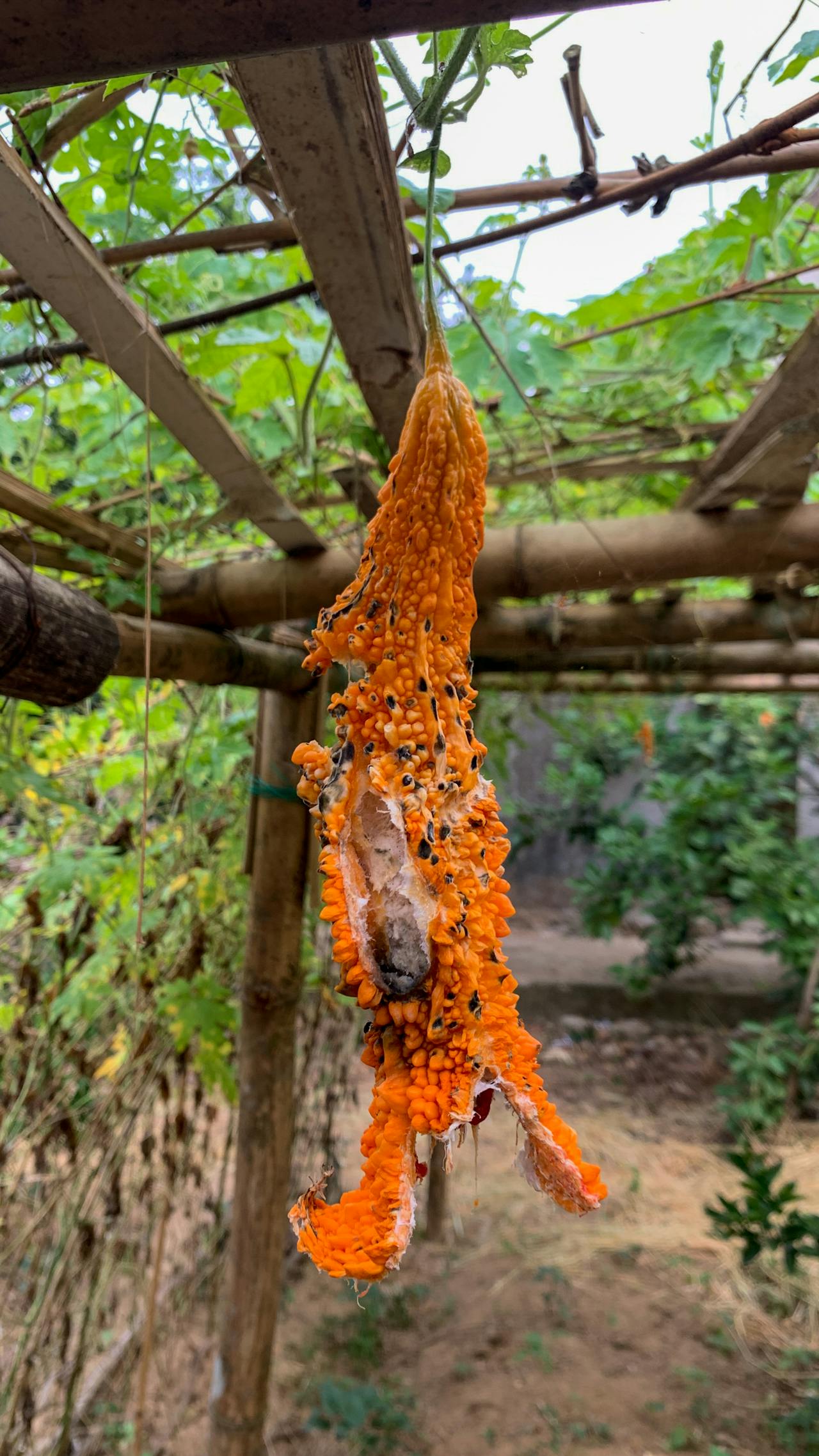 Thám tử lừng danh Conan | Chương 0701