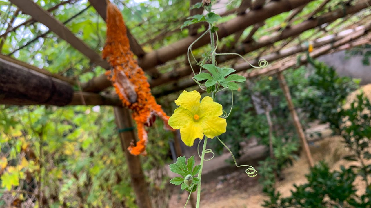 Bạn tự tin đến mức nào trong việc đưa ra quyết định?