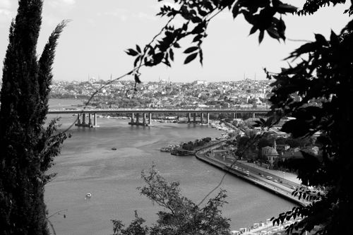 Free A picturesque black and white view of Istanbul's Golden Horn Bridge framed by trees. Stock Photo