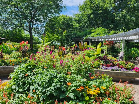 Lush garden in full bloom at Toronto park with diverse flowers and greenery., free online jigsaw puzzle on JigsawPuzzlesFreeOnline.org