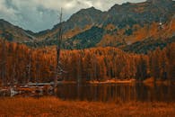 宁静的秋景中，平静的湖泊被色彩缤纷的树木和雄伟的山脉环绕