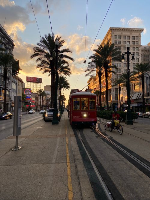 Free A classic red streetcar glides through downtown New Orleans at sunset on a palm-lined street. Stock Photo