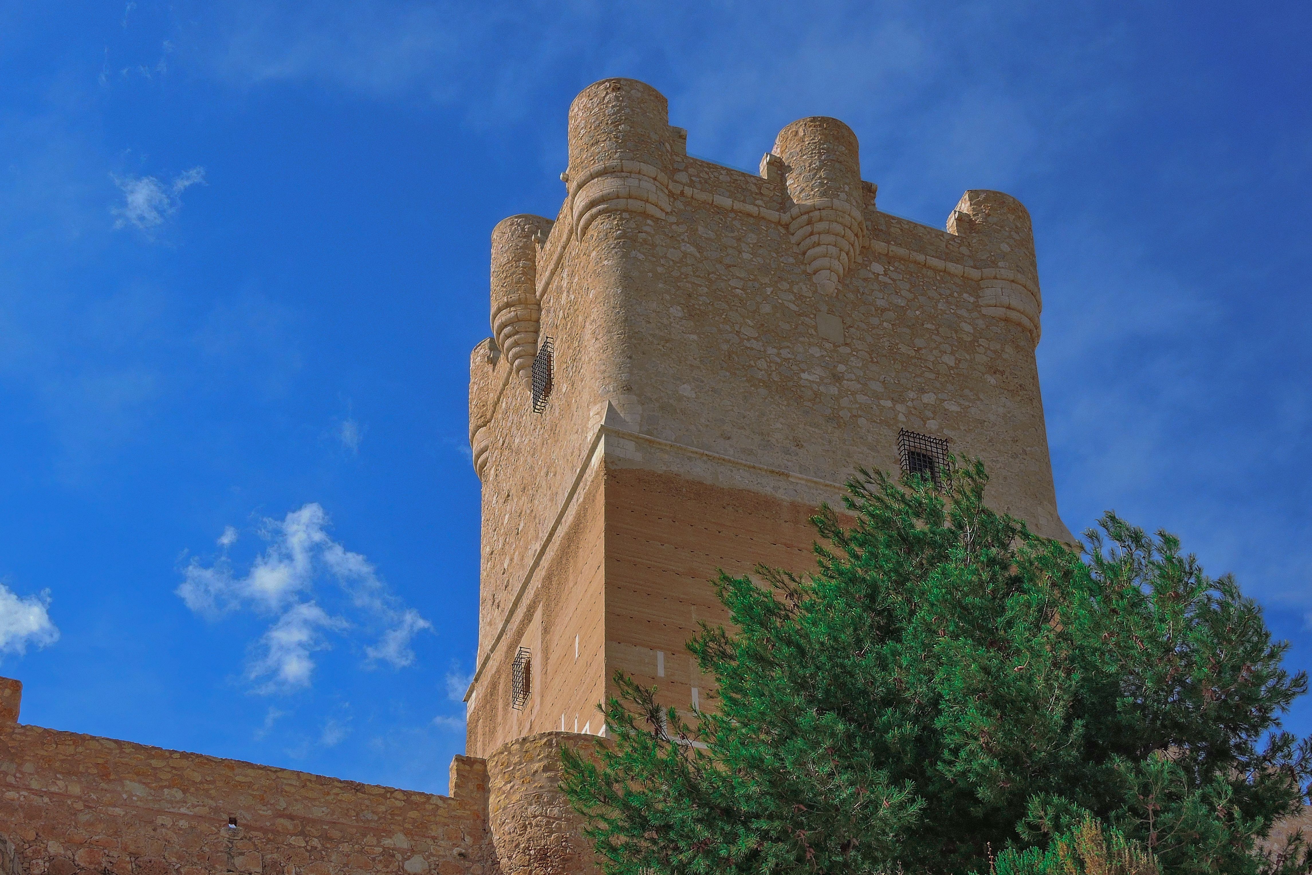 Castillo-Palacio de los Calatravos