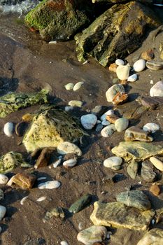 A variety of stones scattered on a sandy beach with gentle waves.