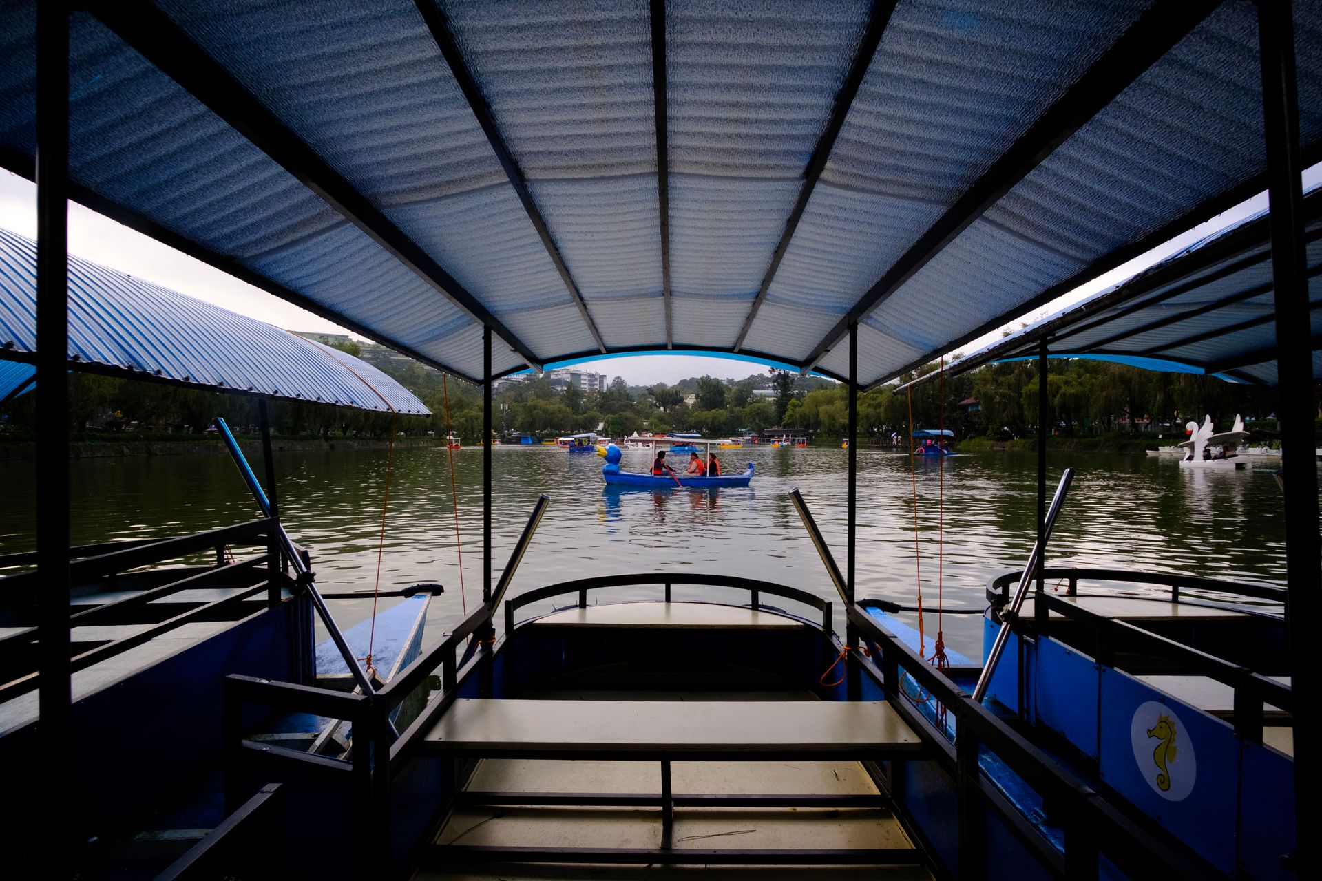 Calm lake view with pedal boats in Baguio, perfect for a relaxing outdoor adventure.