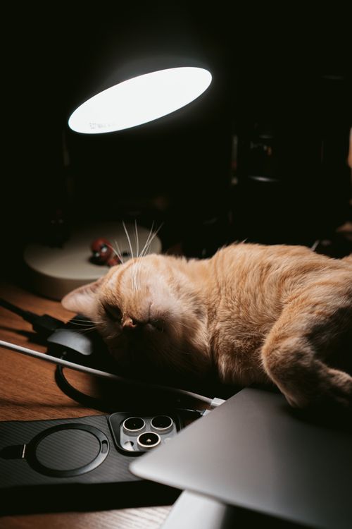 Free Adorable orange cat sleeping under a warm desk lamp on a wooden table with tech gadgets. Stock Photo