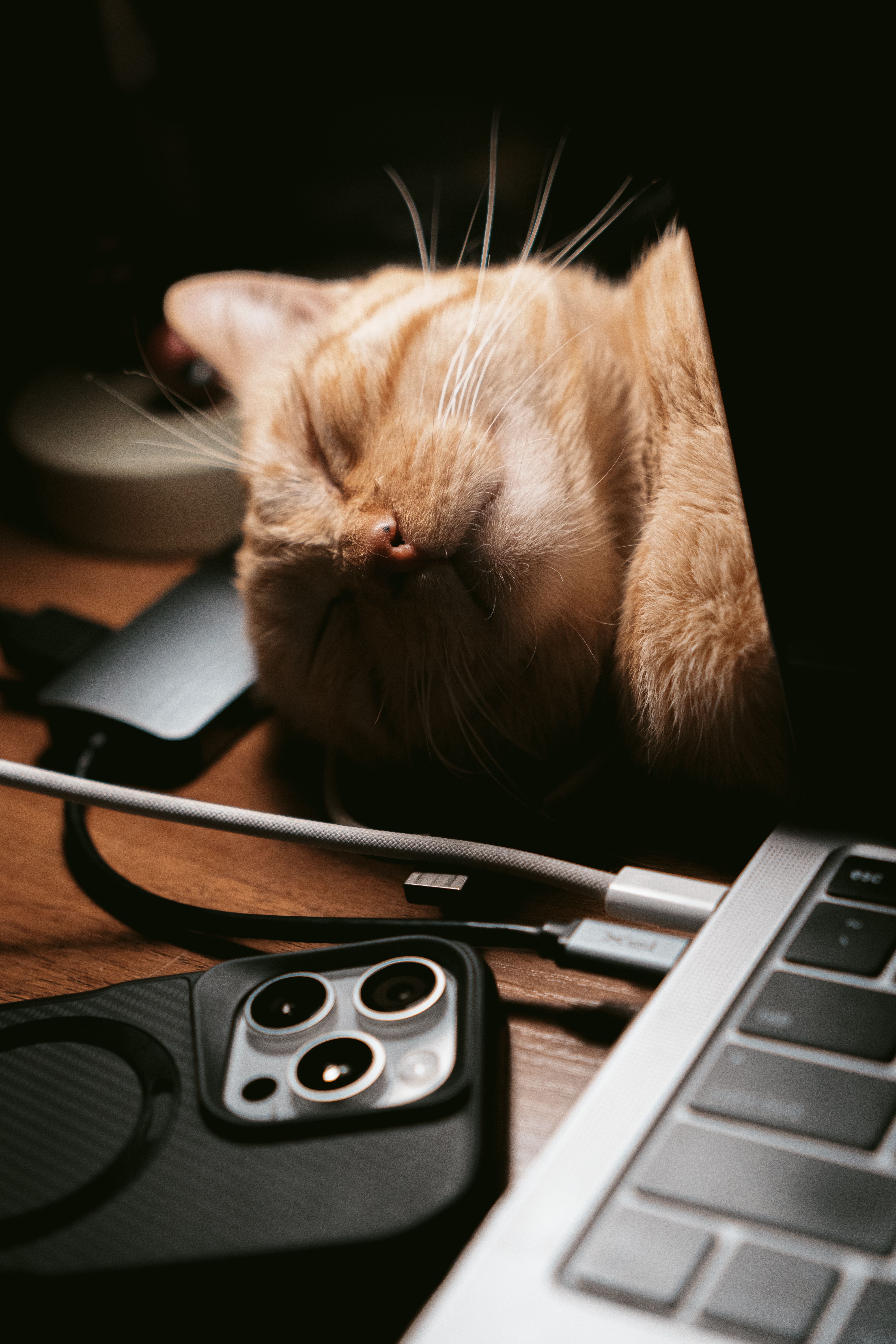A cute orange tabby cat peacefully sleeps next to a laptop and smartphone, creating a cozy night scene.