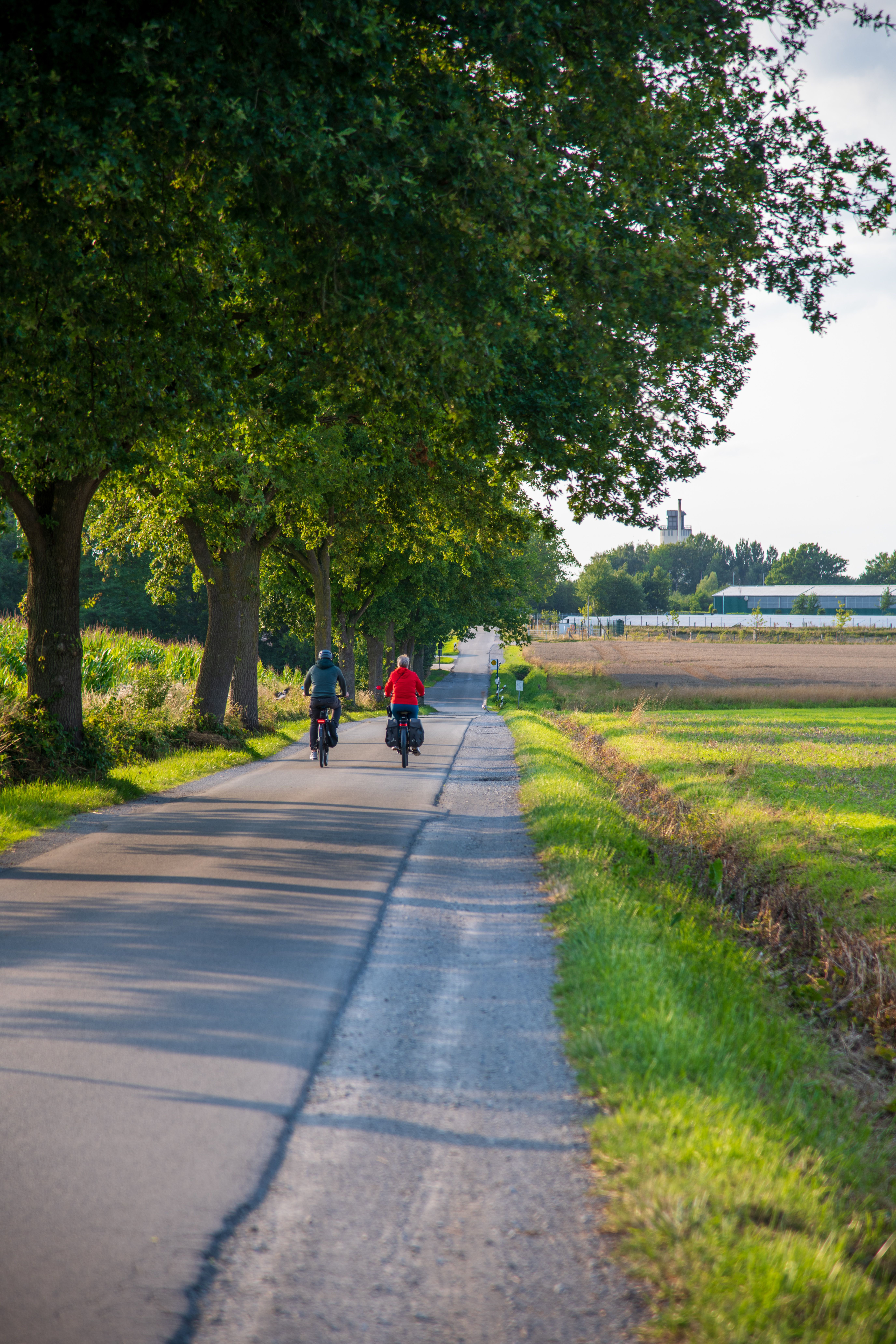 Fietser in drukke stad met duidelijk fietspad en verkeerssituatie