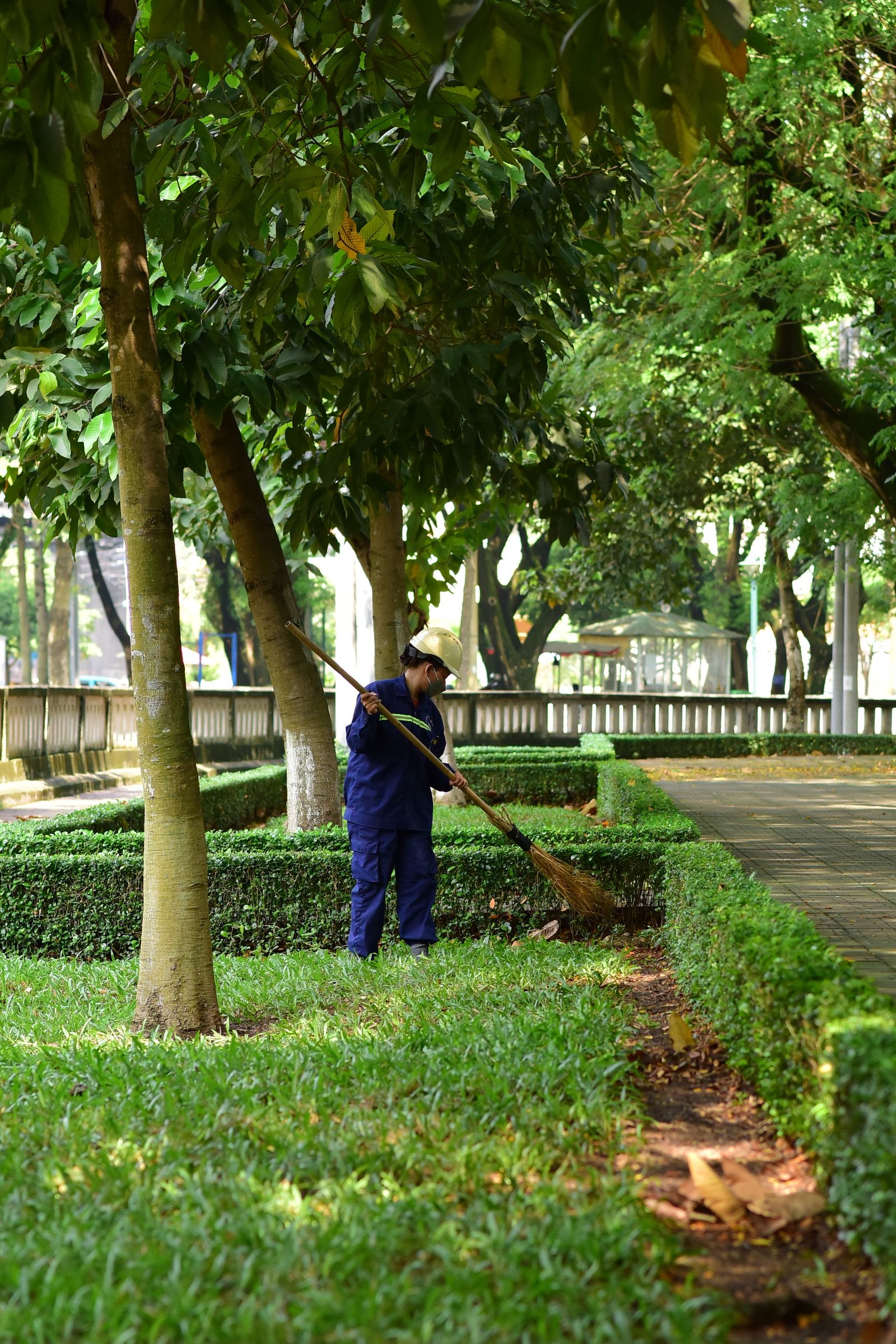 Seasonal Cleanups