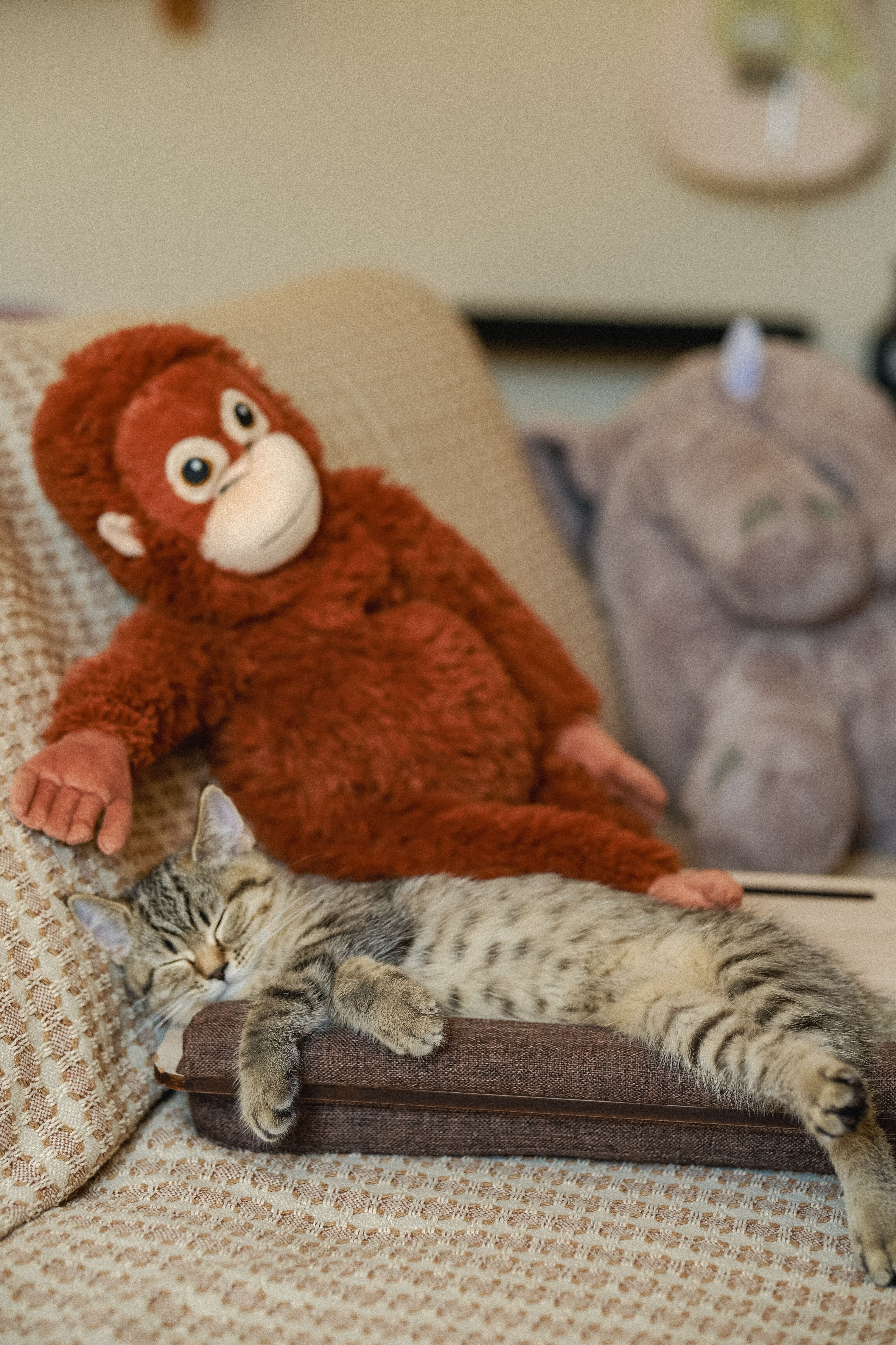 Kit 3 Pelúcias Pequenas