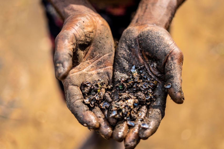 A close-up of two hands squeezing dark, moist soil into a ball in Calabar, Nigeria, the no-tool field test for whether the ground holds enough moisture to germinate seed.