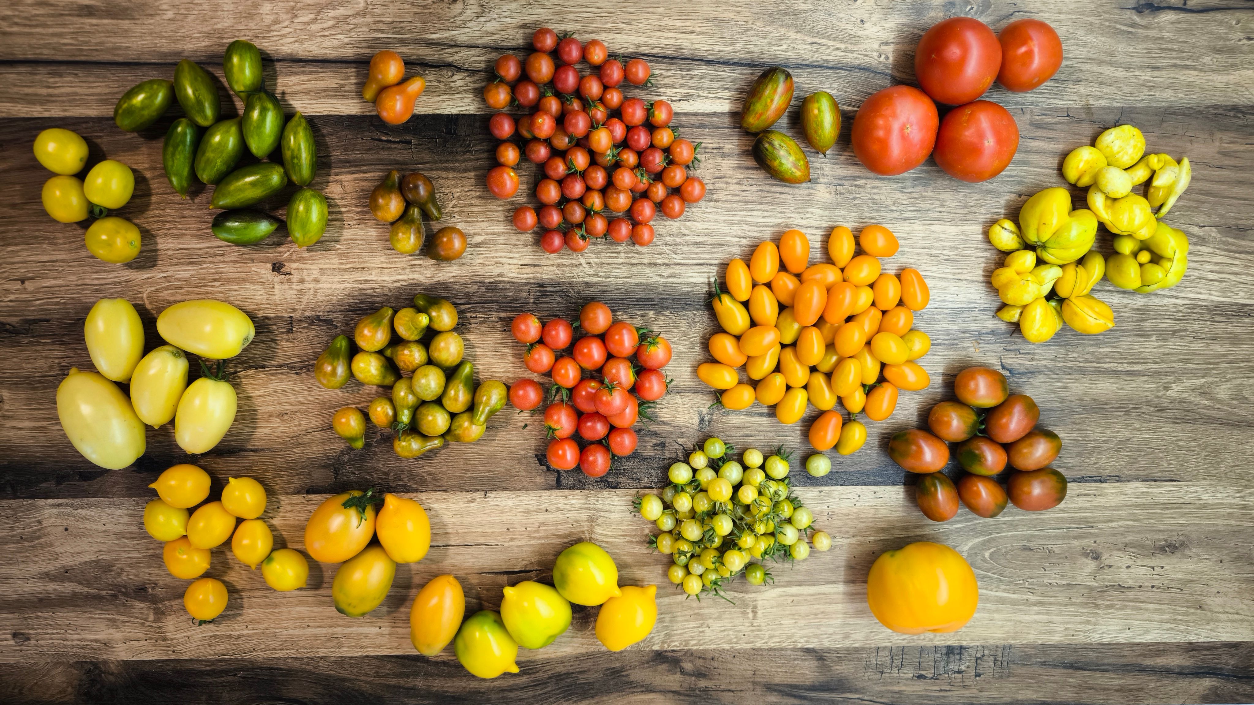 Best Vegetable Seeds Variety Pack 30 Review