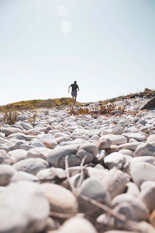 Foto d'estoc gratuïta de a l'aire lliure, aventura, d'esquena