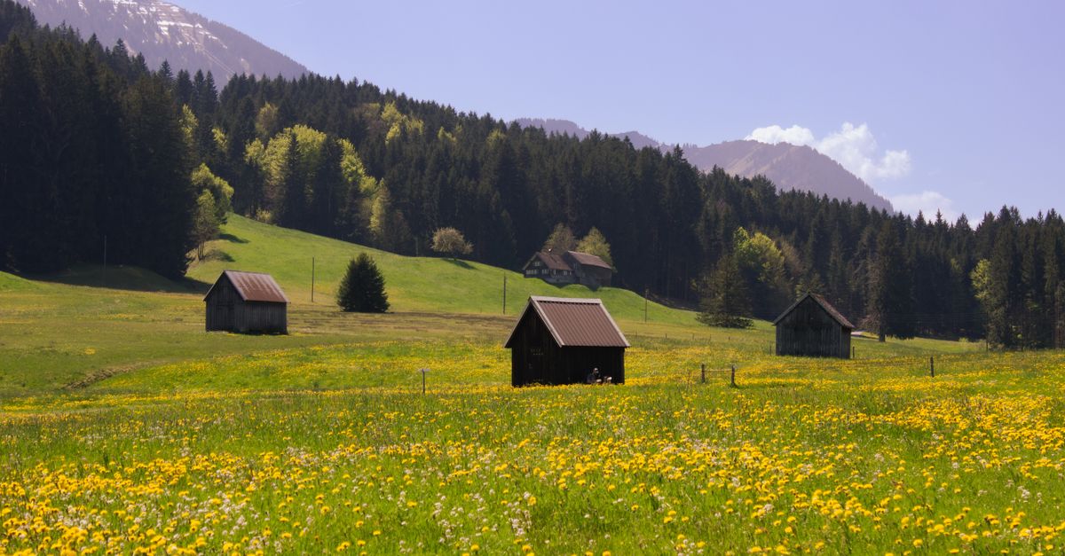 Rustic Ridge Meadow Peaceful Spring Meadow with Rustic Cabins and Mountain View · Free ...