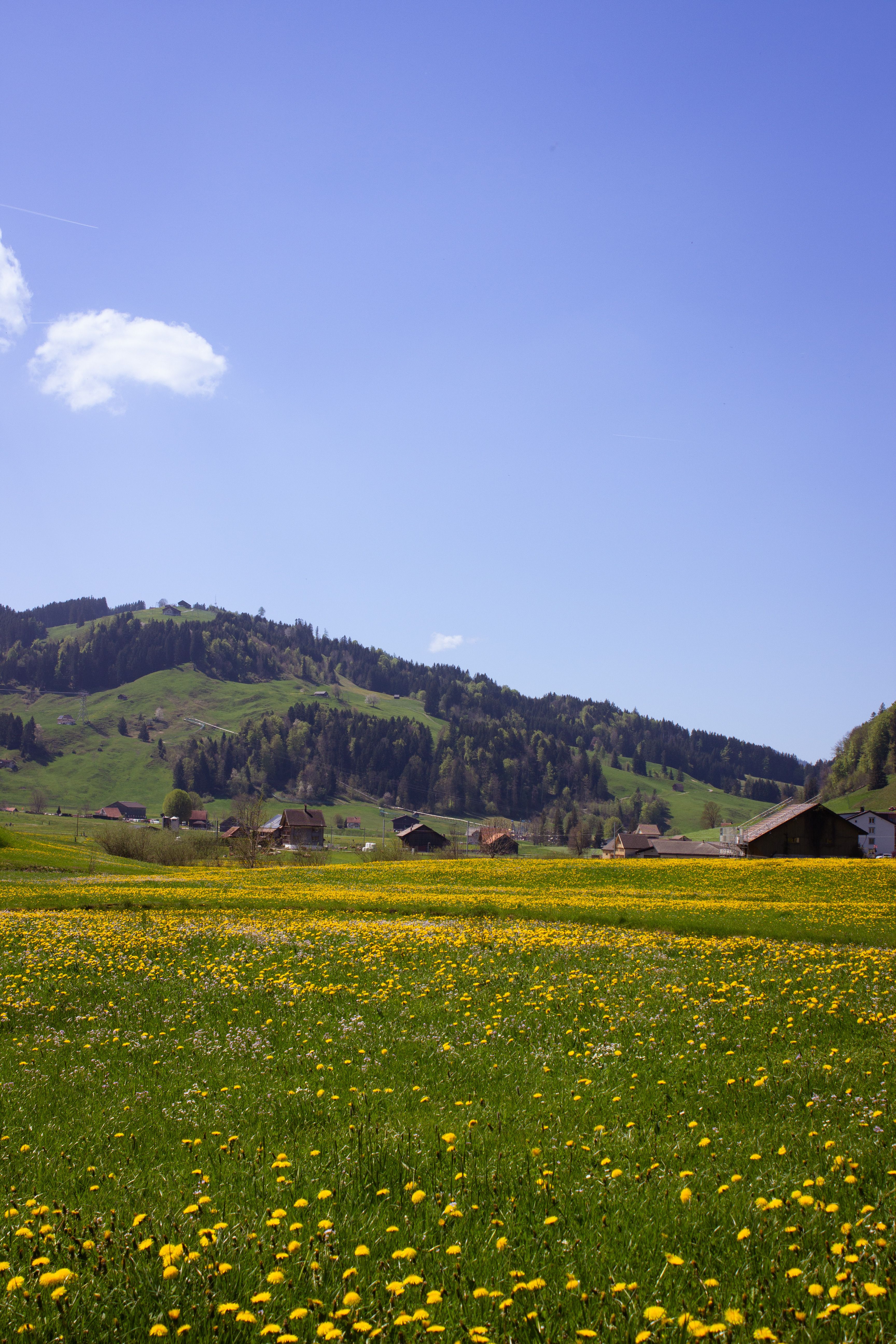 Springtime Rural Landscape with Fields and Hills · Free Stock Photo