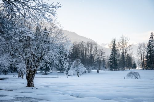 Free Stunning snowy forest scene in Le Grand-Bornand, France during winter. Stock Photo