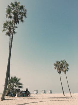 Serene scene of palm trees and lifeguard towers on Santa Monica Beach under a clear sky. by Luana  Lloyd