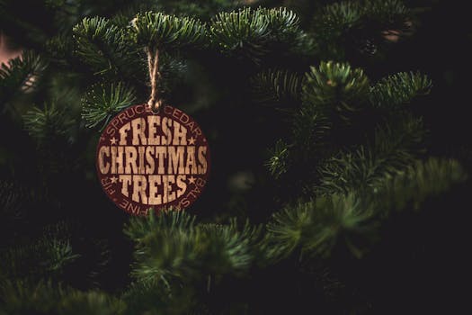 木制圣诞树装饰品悬挂在郁郁葱葱的冷杉树枝上，营造出浓浓的节日气氛