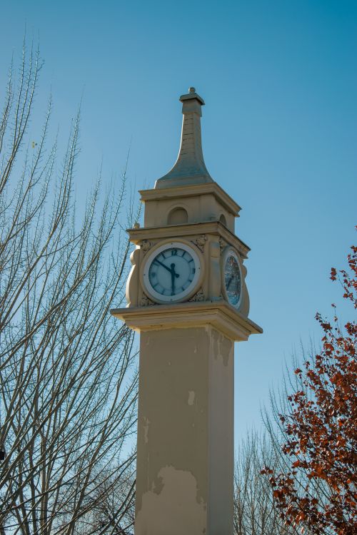 Free Historic clock tower with seasonal trees under clear sky, capturing time and serene beauty. Stock Photo
