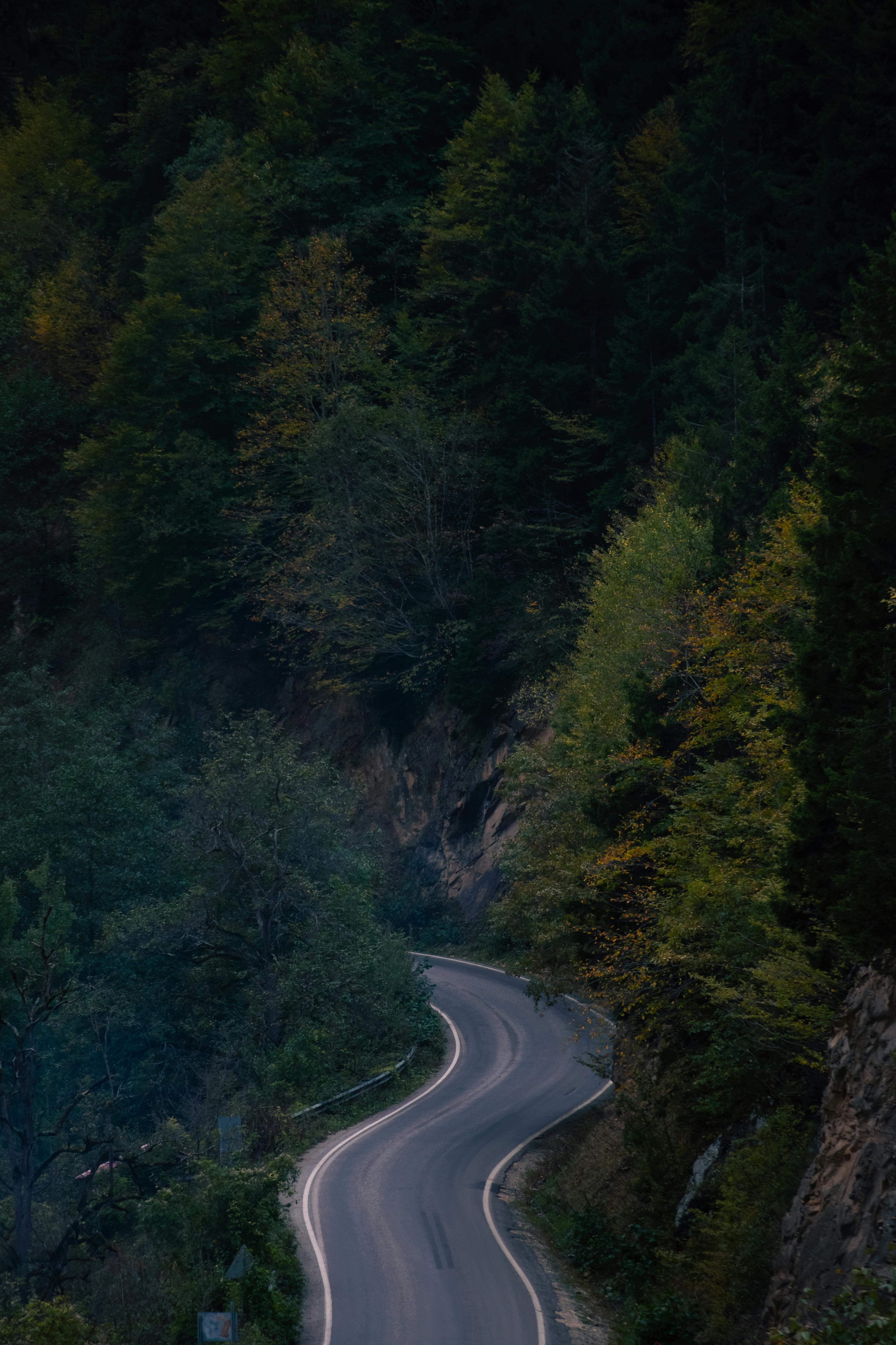 A peaceful winding road weaving through a lush forest with a dramatic evening ambiance.