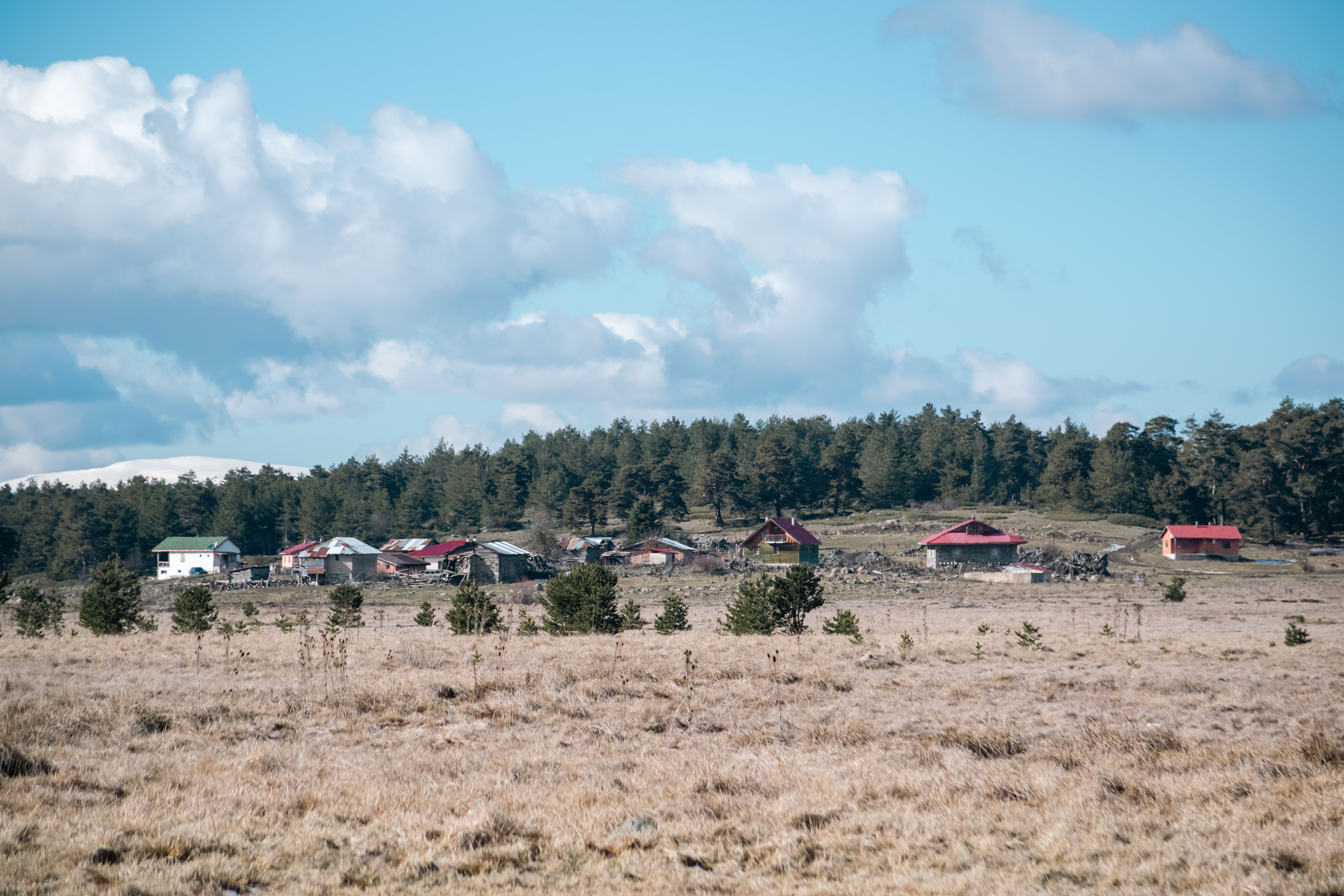 Scenic view of a remote village with houses under a clear blue sky surrounded by trees.