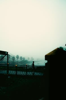 foggy morning 