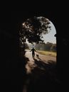Silhouette Photo Of Person Beside Dog
