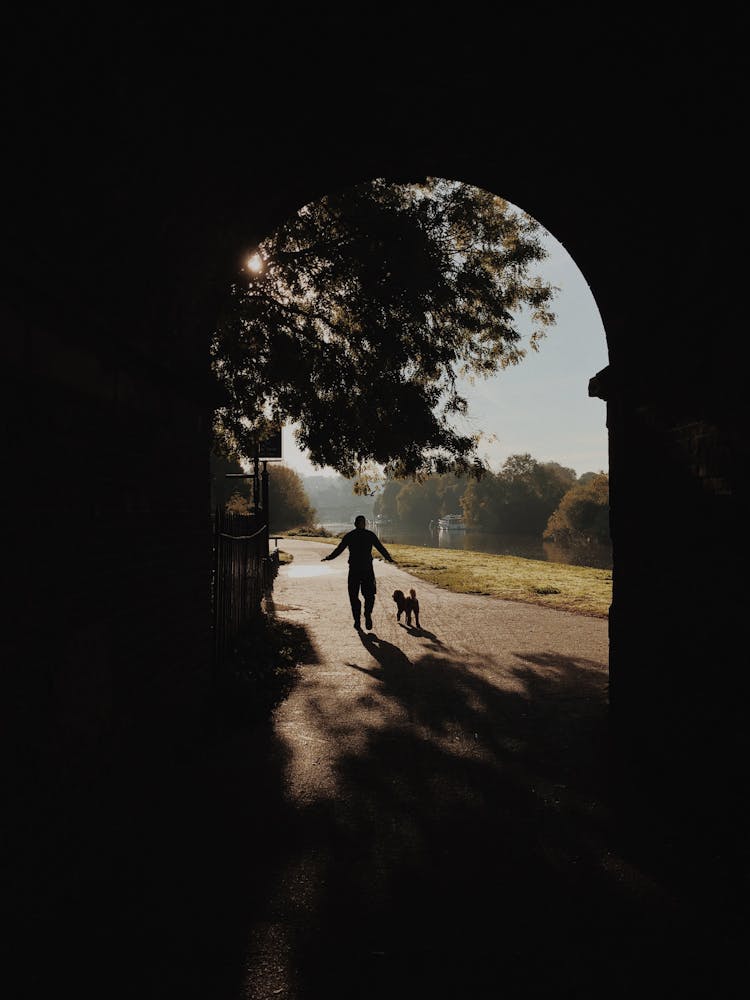 Silhouette Photo Of Person Beside Dog