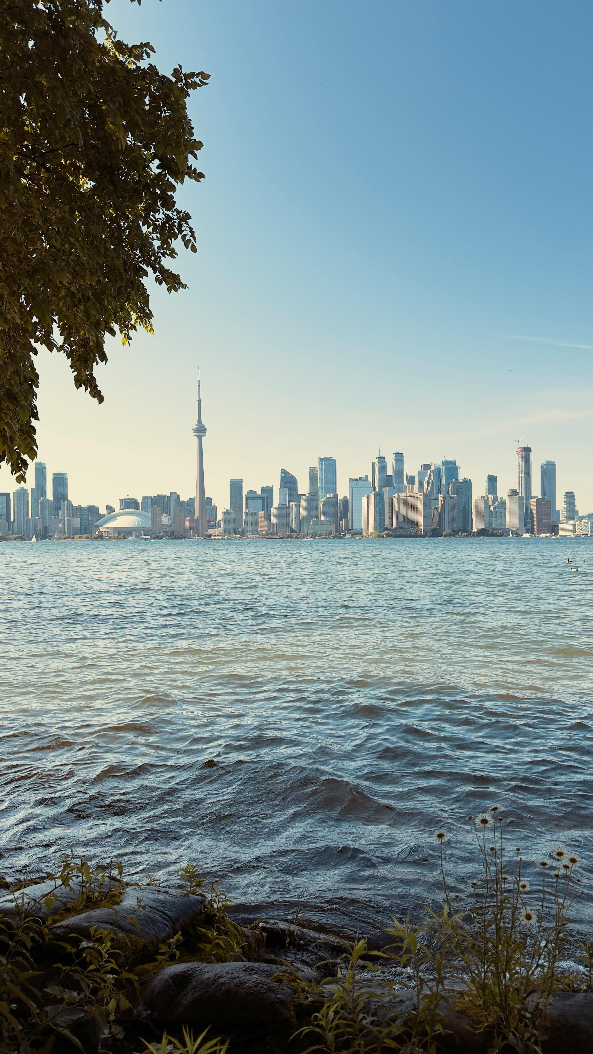 캐나다 여행 비자