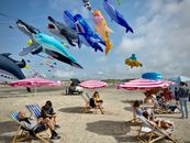 A lively beach scene with colorful animal kites flying high against a clear sky in Germany.