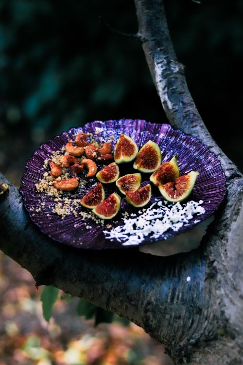 Free Artistic plate of figs and nuts displayed on a tree branch in natural light. Stock Photo