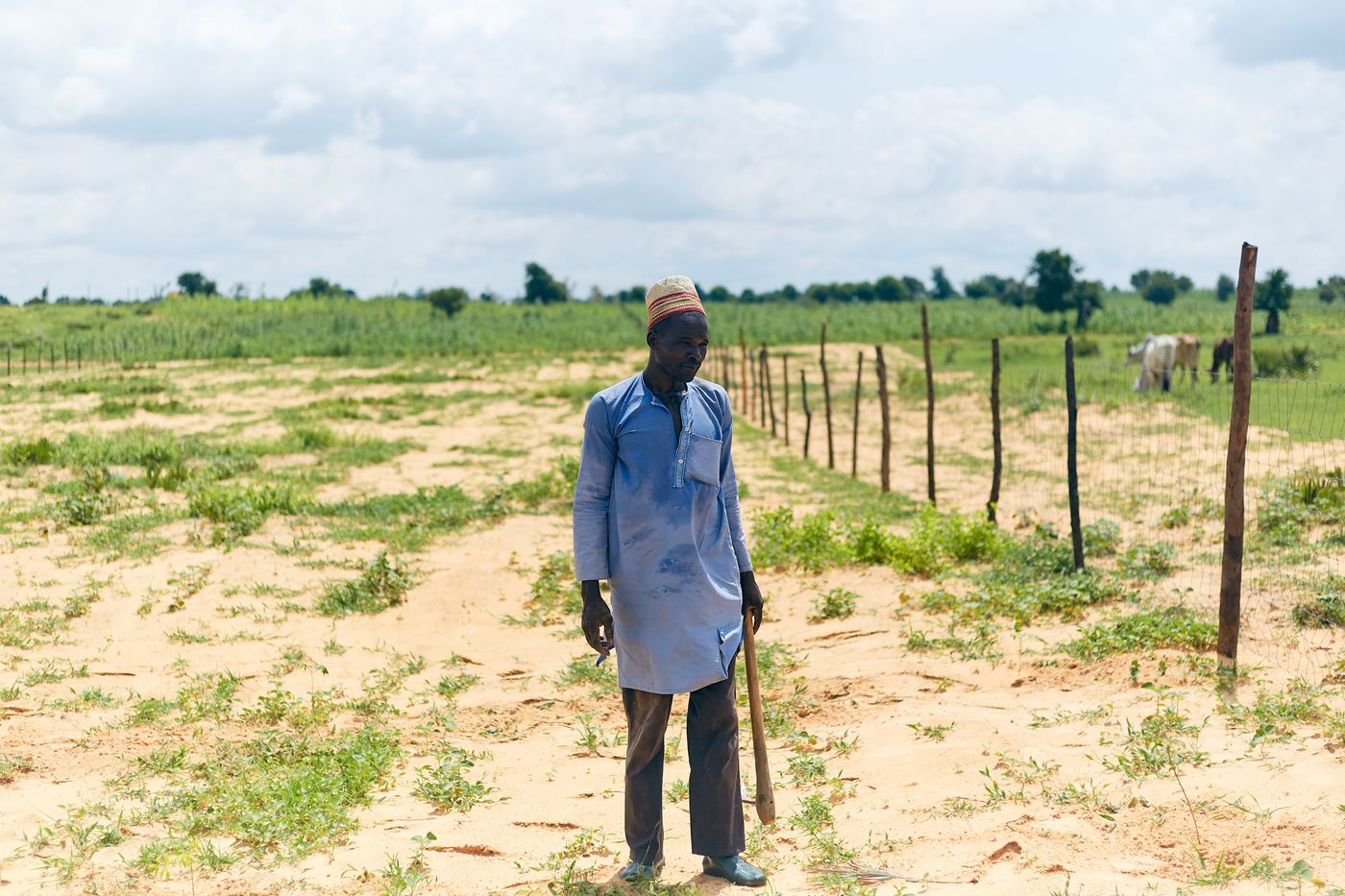 Photo de stock illustrant le travail agricole en Afrique, les cultures ou les soins aux plants
