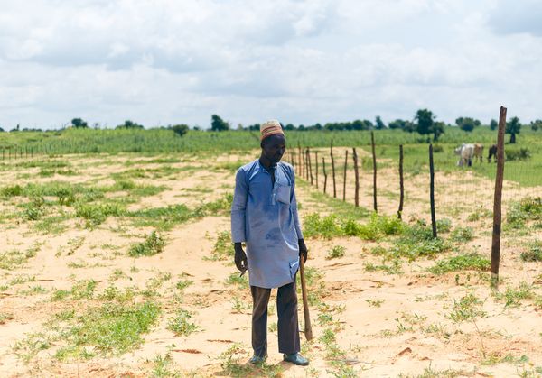 Farmer-to-Farmer Mentorship: How Our Peer Network Works — Green Revolution Farmers