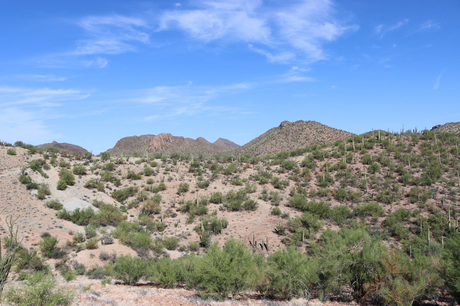 Arizona desert landscape under a wide blue sky