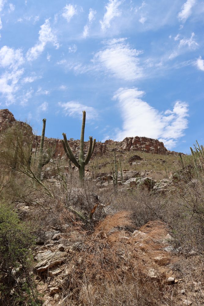 Southwest Scenery Photos, Download The BEST Free Southwest Scenery ...