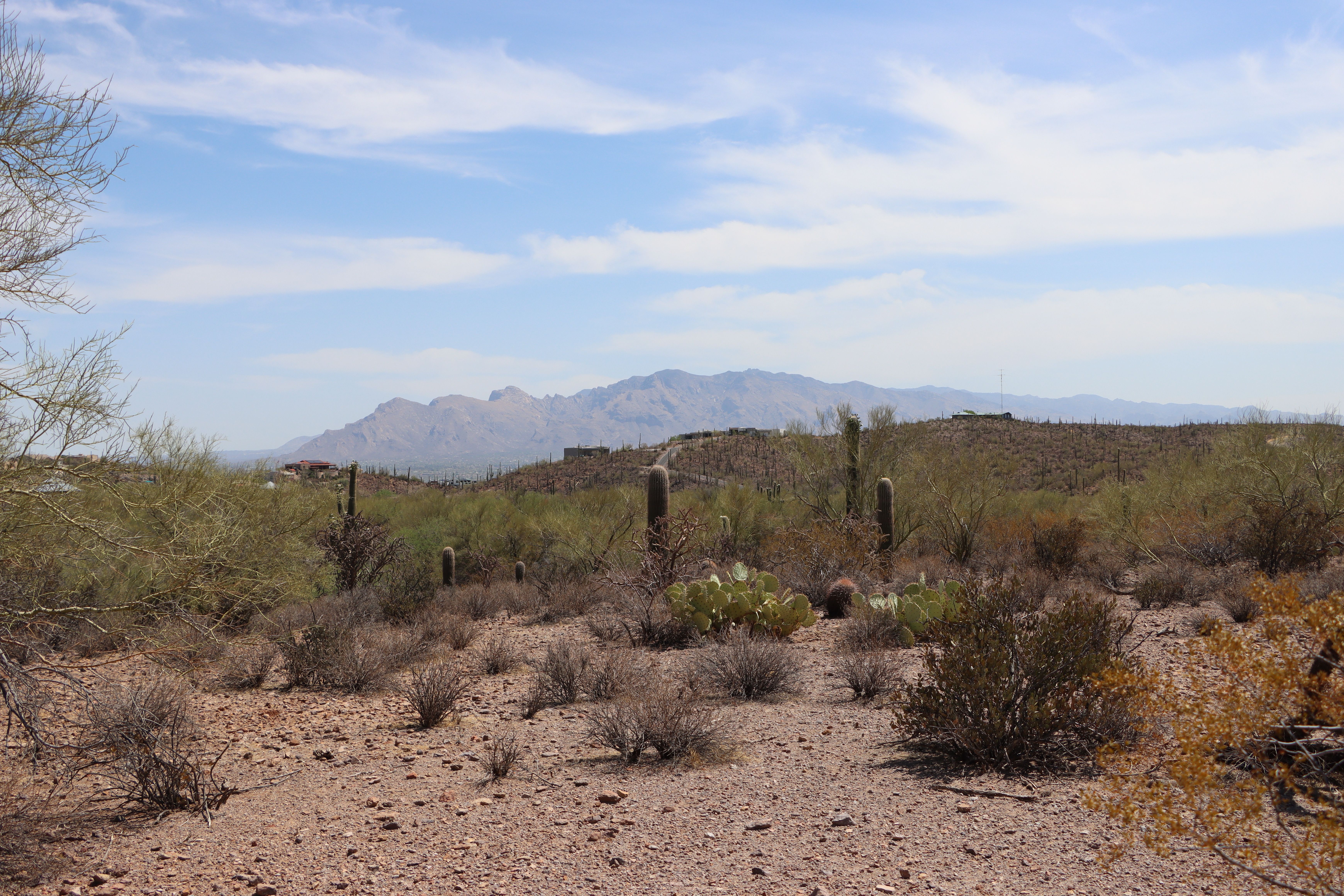 Tucson Metro Area
