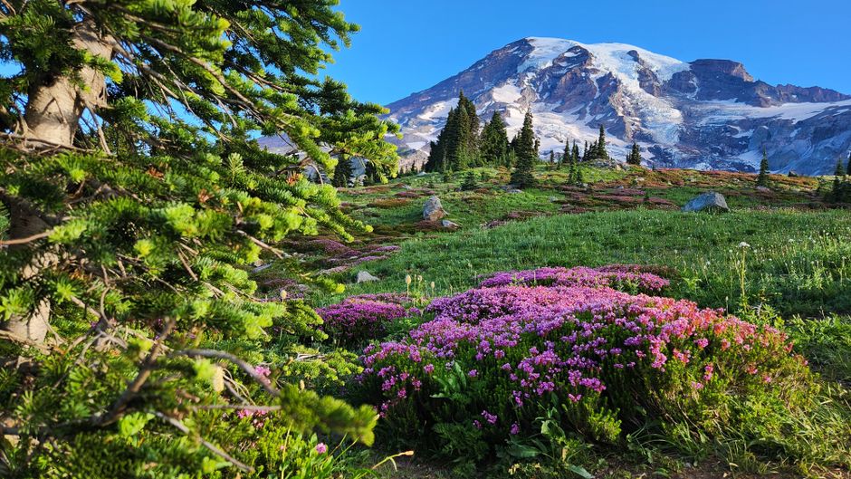Mount Rainier National Park