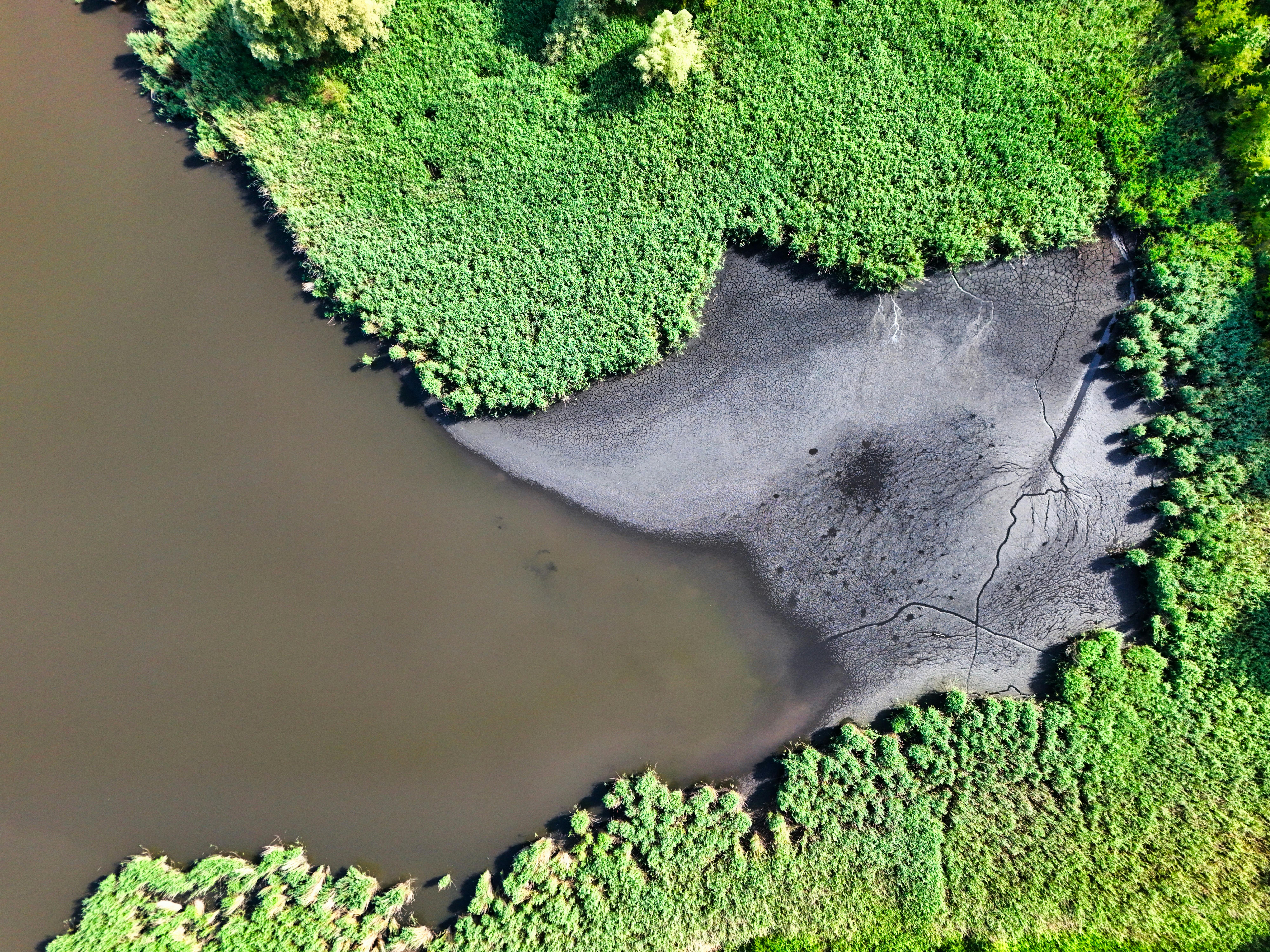 智生活3月營收年增9.19%，卻面臨淺山物種危機的挑戰