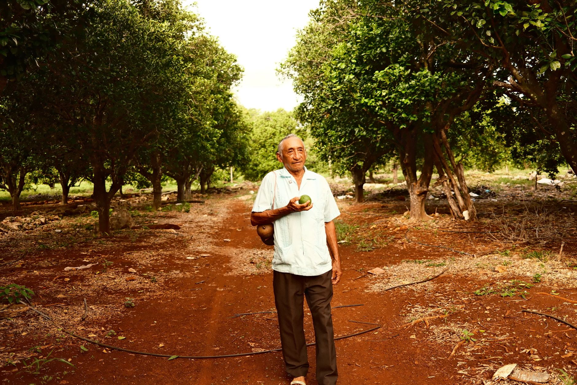 Milton Valenzuela