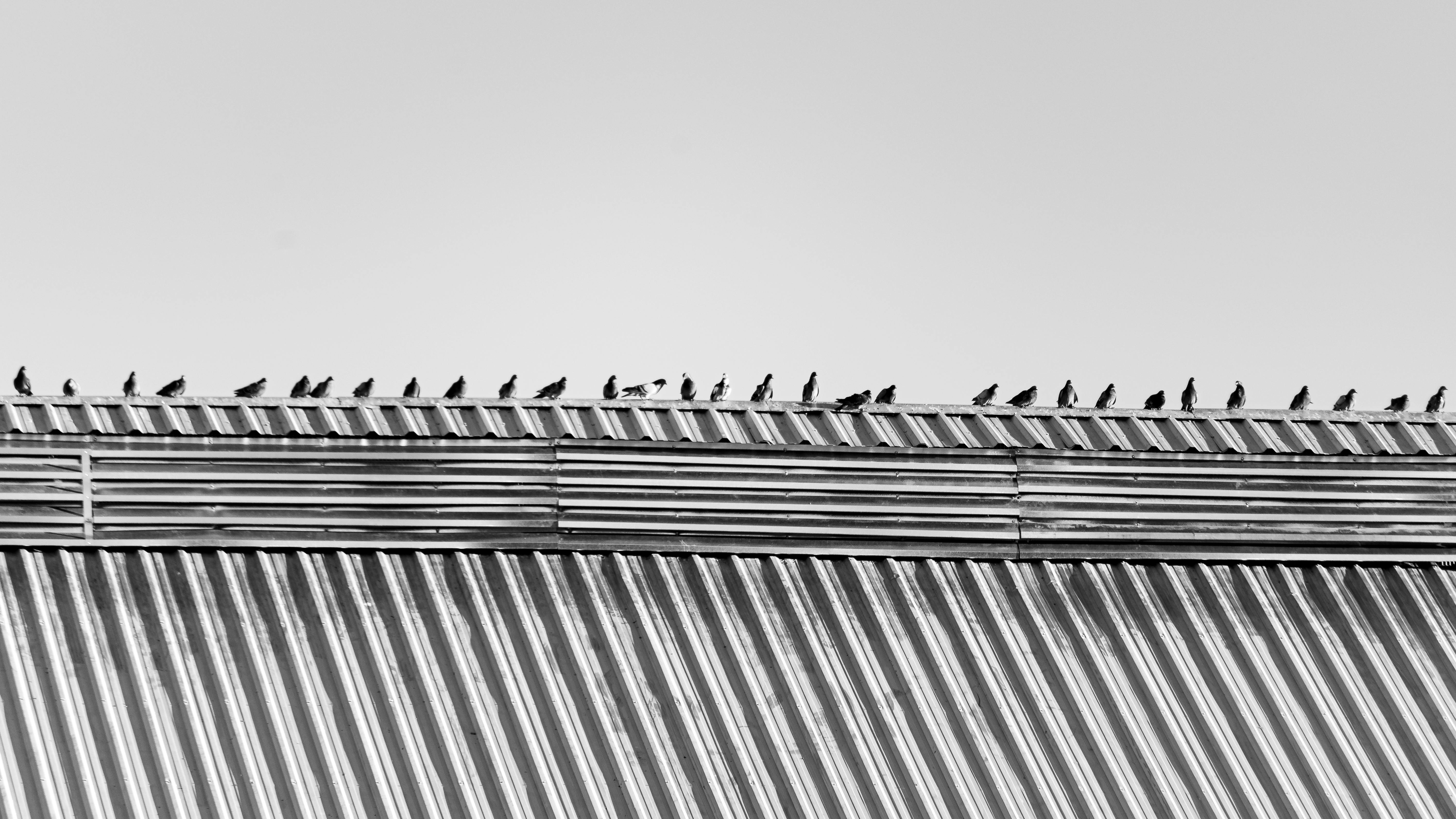 Gratis Immagine gratuita di ambiente, architettura, architettura moderna Foto a disposizione