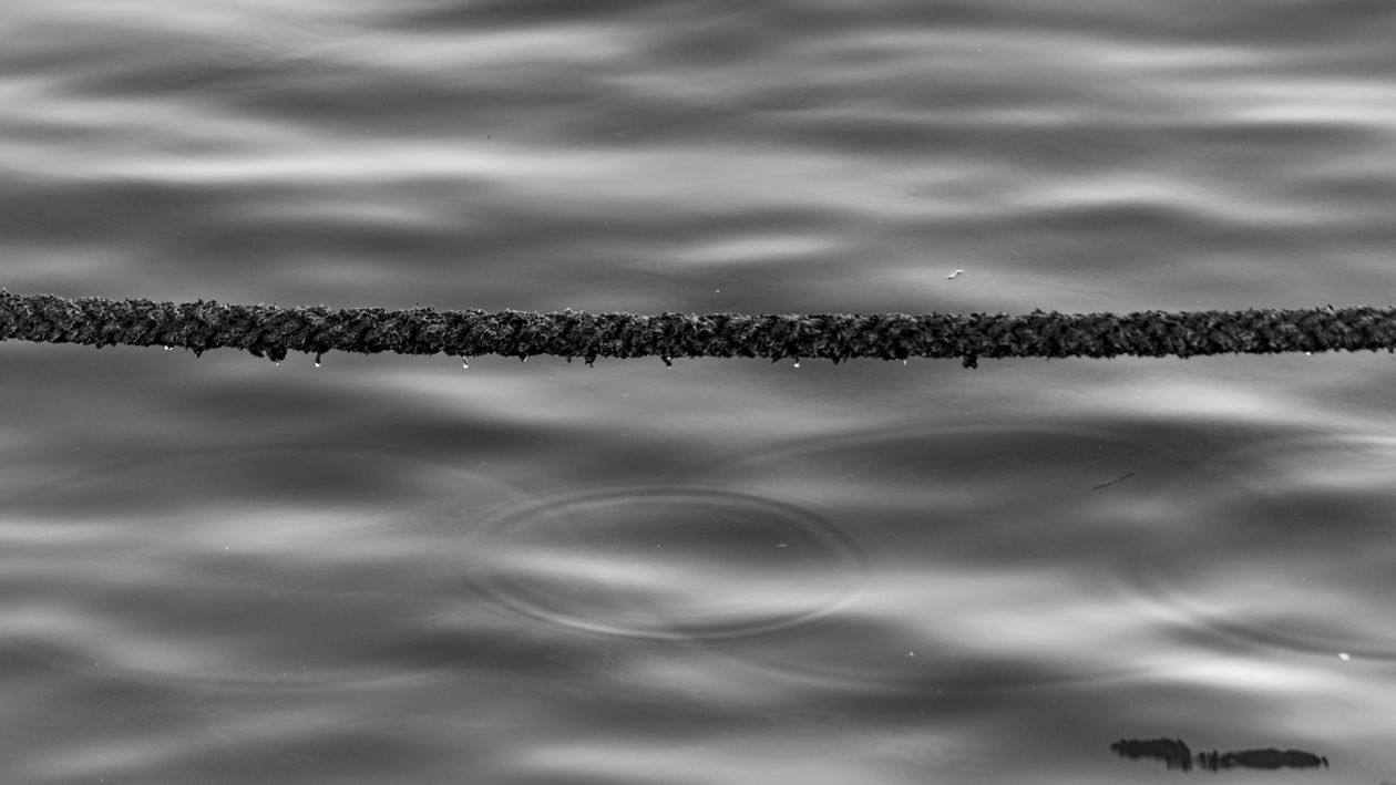 Rope Reflection Monochrome Abstract Art of Rope and Water Reflection · Free Stock Photo