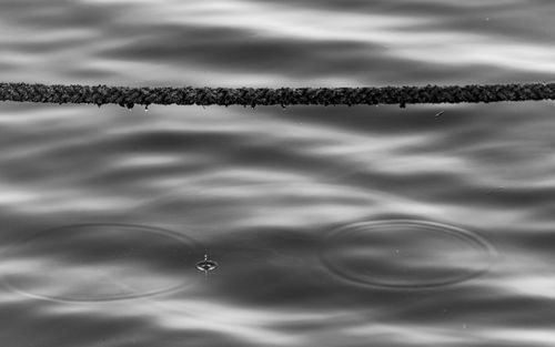 Free Monochrome image capturing water ripples and rough texture of a rope crossing above. Stock Photo
