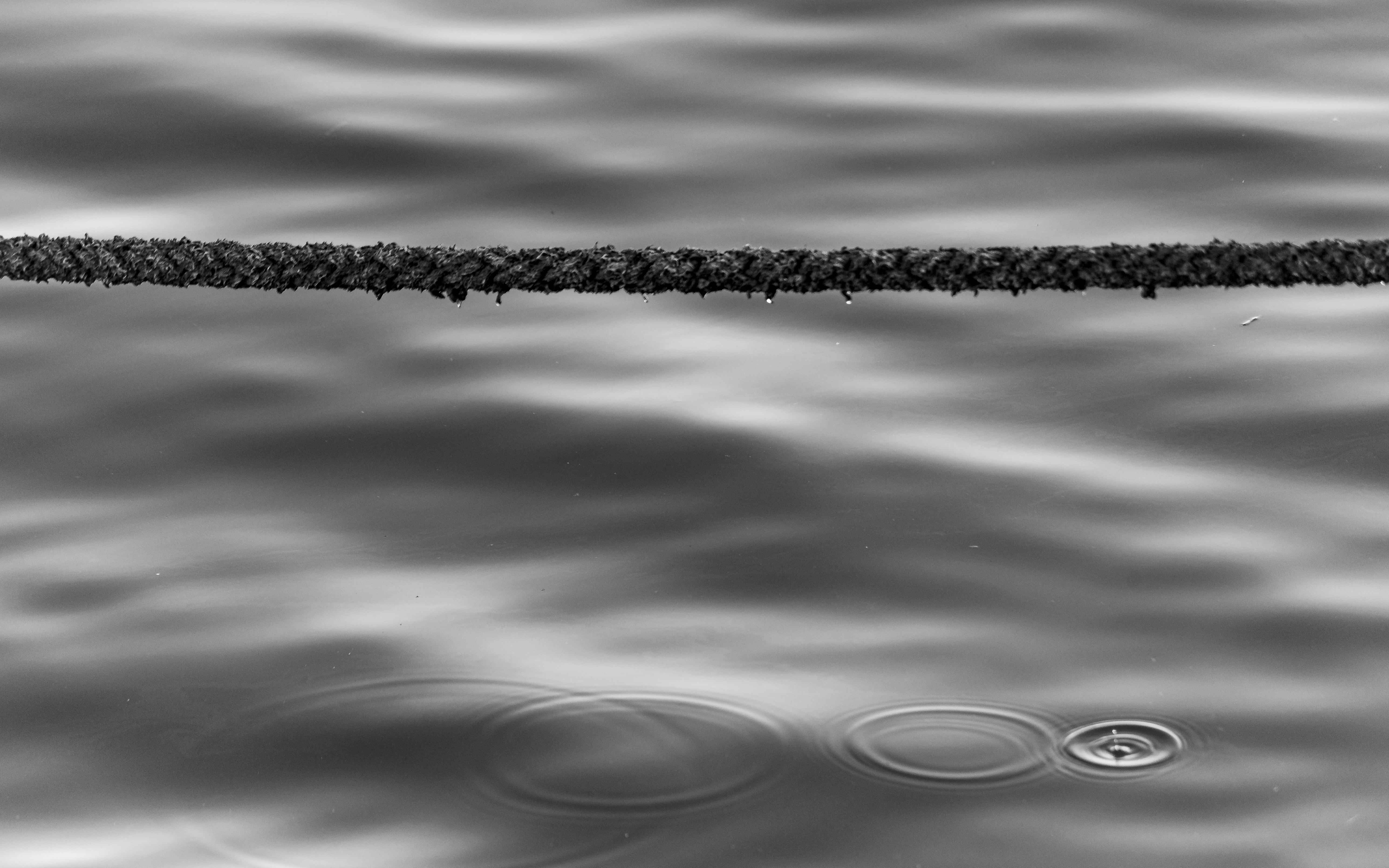 Gratuit Image monochrome d'une corde sur des ondulations d'eau calme, transmettant simplicité et tranquillité. Photos